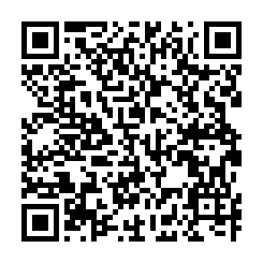 QR Descarga libro resumenes